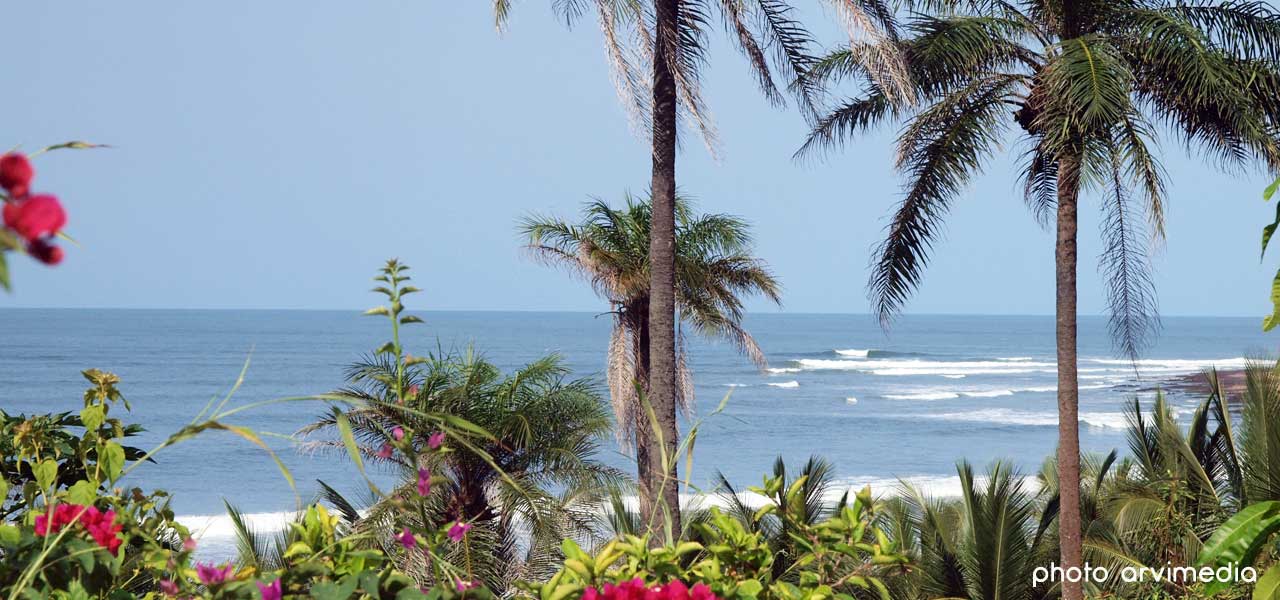 venez découvrir les plus belles plages du sénégal à cap skirring dans le sud de la casamance